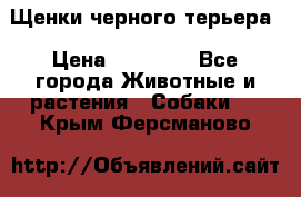 Щенки черного терьера › Цена ­ 35 000 - Все города Животные и растения » Собаки   . Крым,Ферсманово